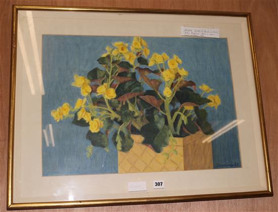 Brian Senior, acrylic on paper, Yellow Begonias, signed, 43 x 57cm